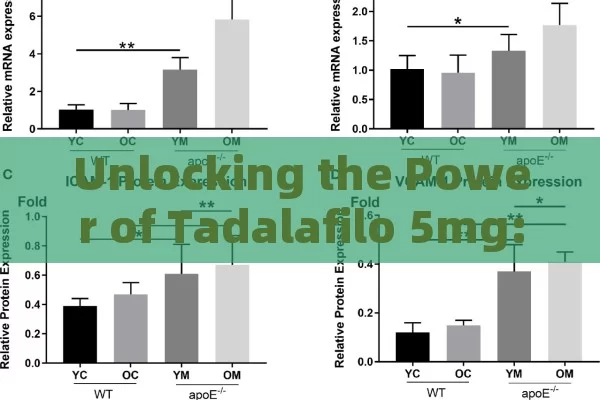 Unlocking the Power of Tadalafilo 5mg: A Complete Overview