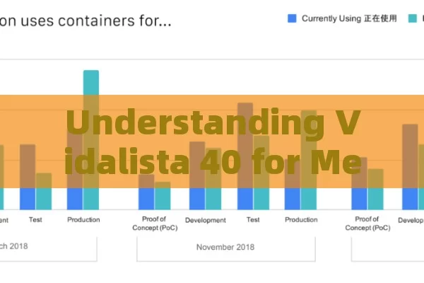 Understanding Vidalista 40 for Men