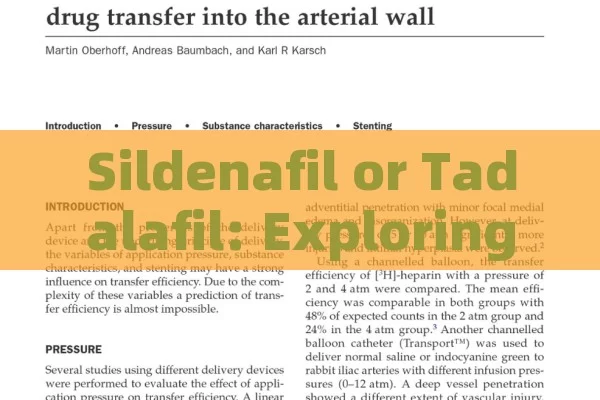 Sildenafil or Tadalafil: Exploring the Two Erectile Dysfunction Drugs